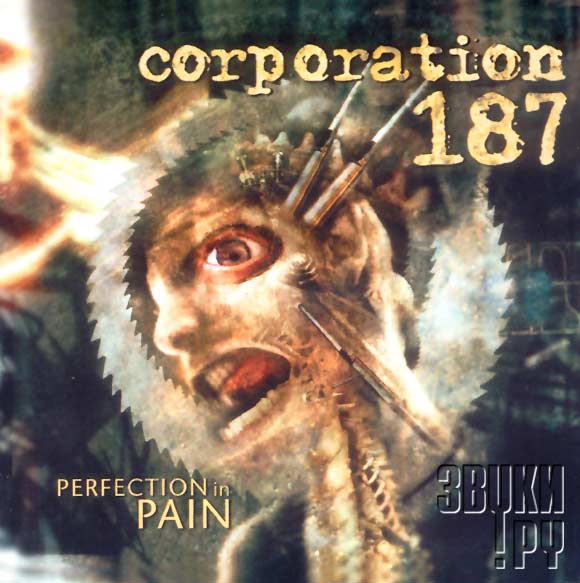 ОБЛОЖКА: Perfection In Pain
