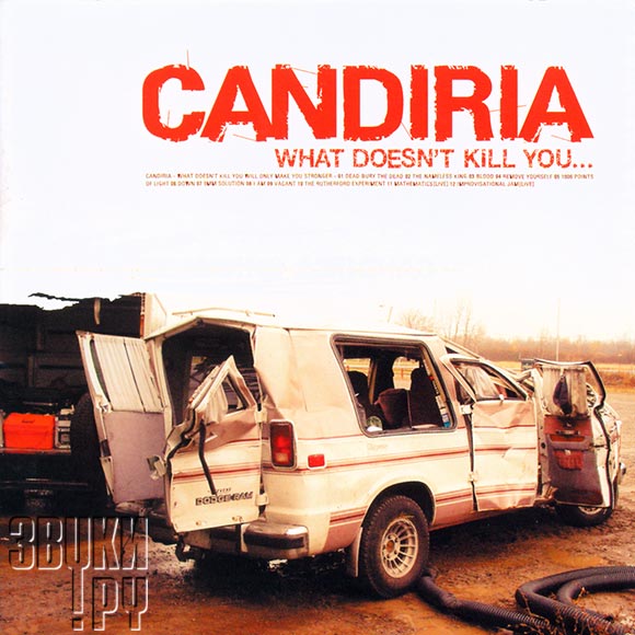 ОБЛОЖКА: What Doesn't Kill You...