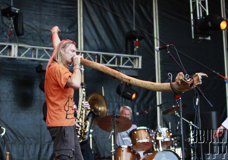 Sziget-2010