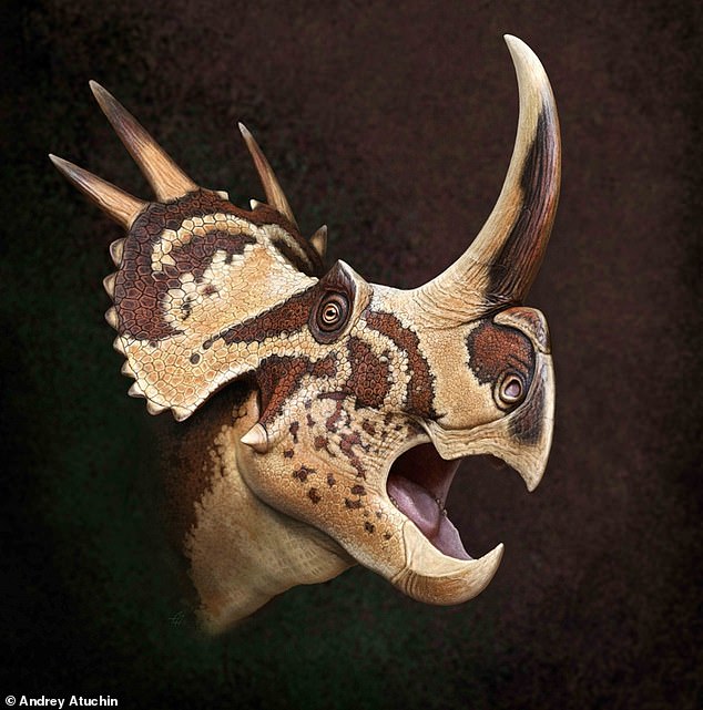 Stellasaurus