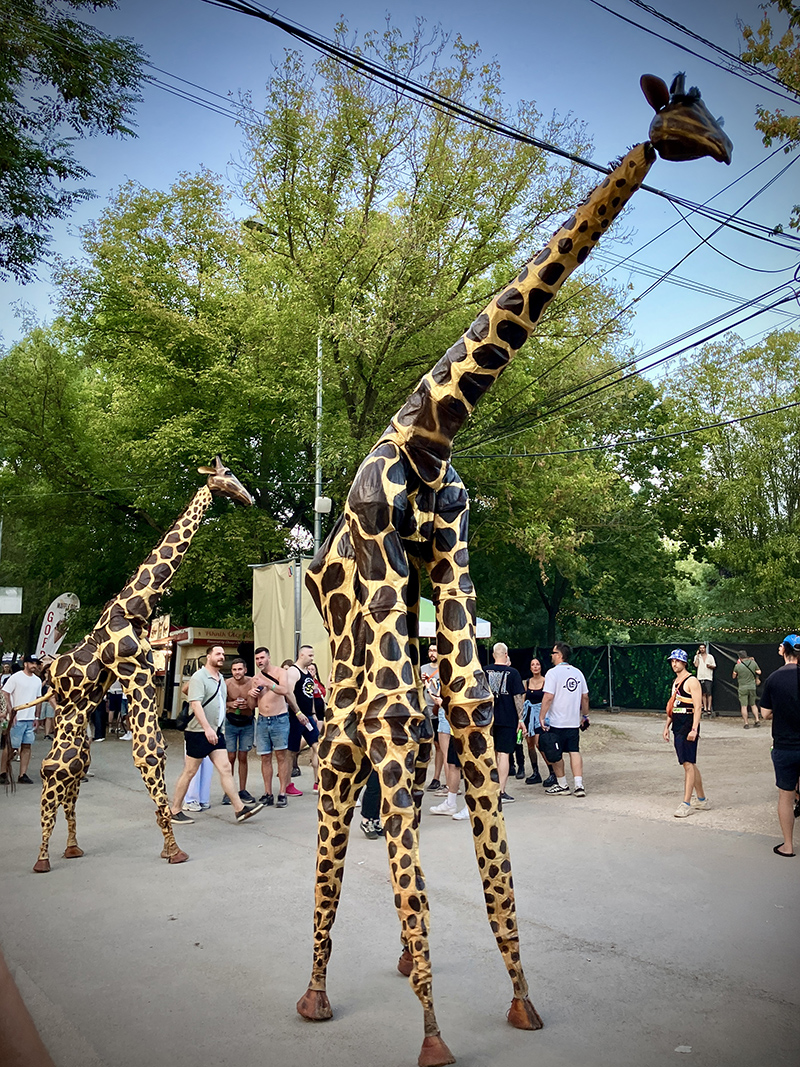 Sziget-2025
